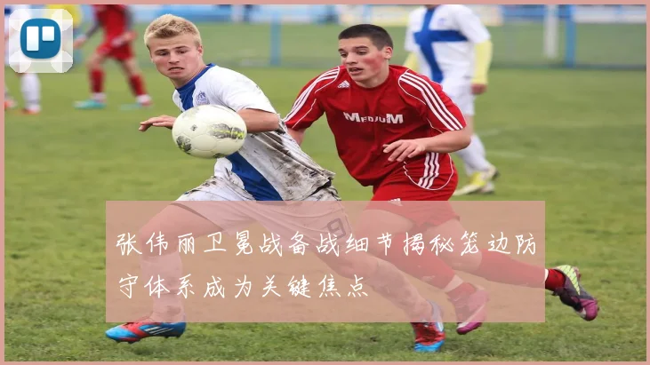 张伟丽卫冕战备战细节揭秘笼边防守体系成为关键焦点